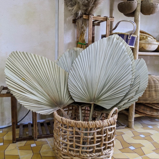 Quạt lá cọ trang trí