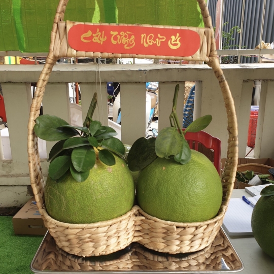 Giỏ đựng bưởi quà tặng